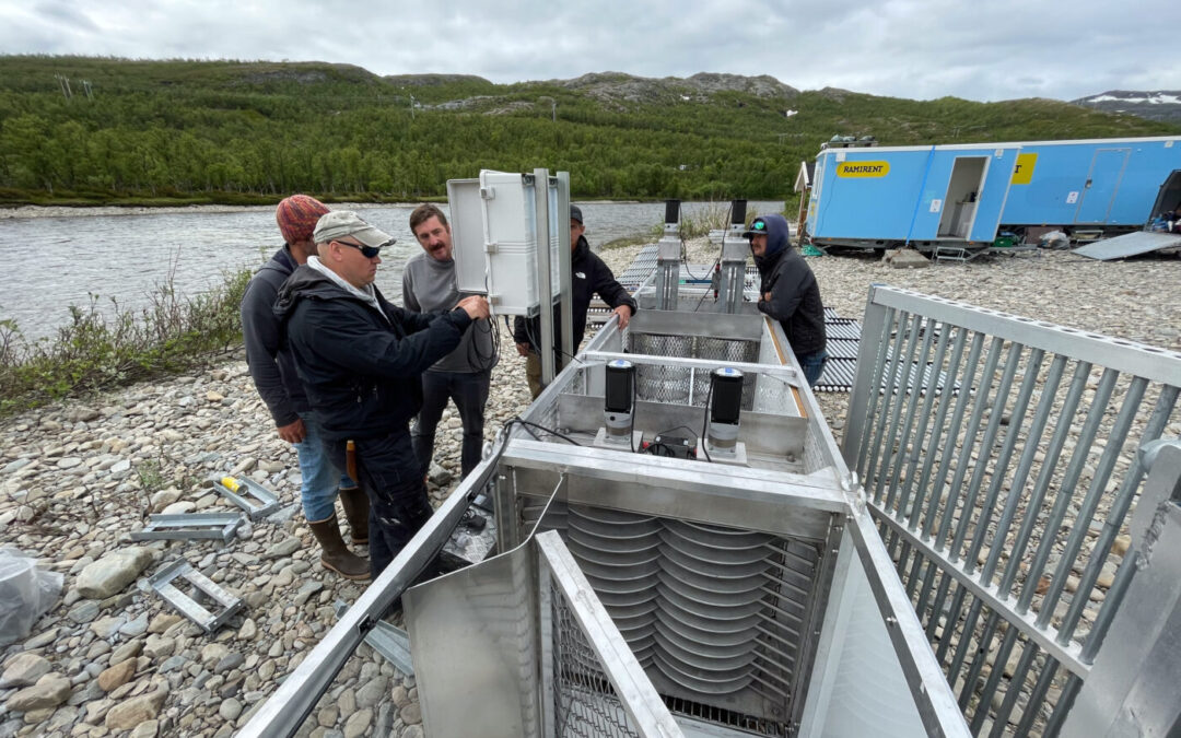 AI vs Invasive Salmon: FISHBIO-Simsonar Team Invents New Fish Sorting Technology